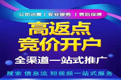 某电商平台的SEM服务托管全流程案例